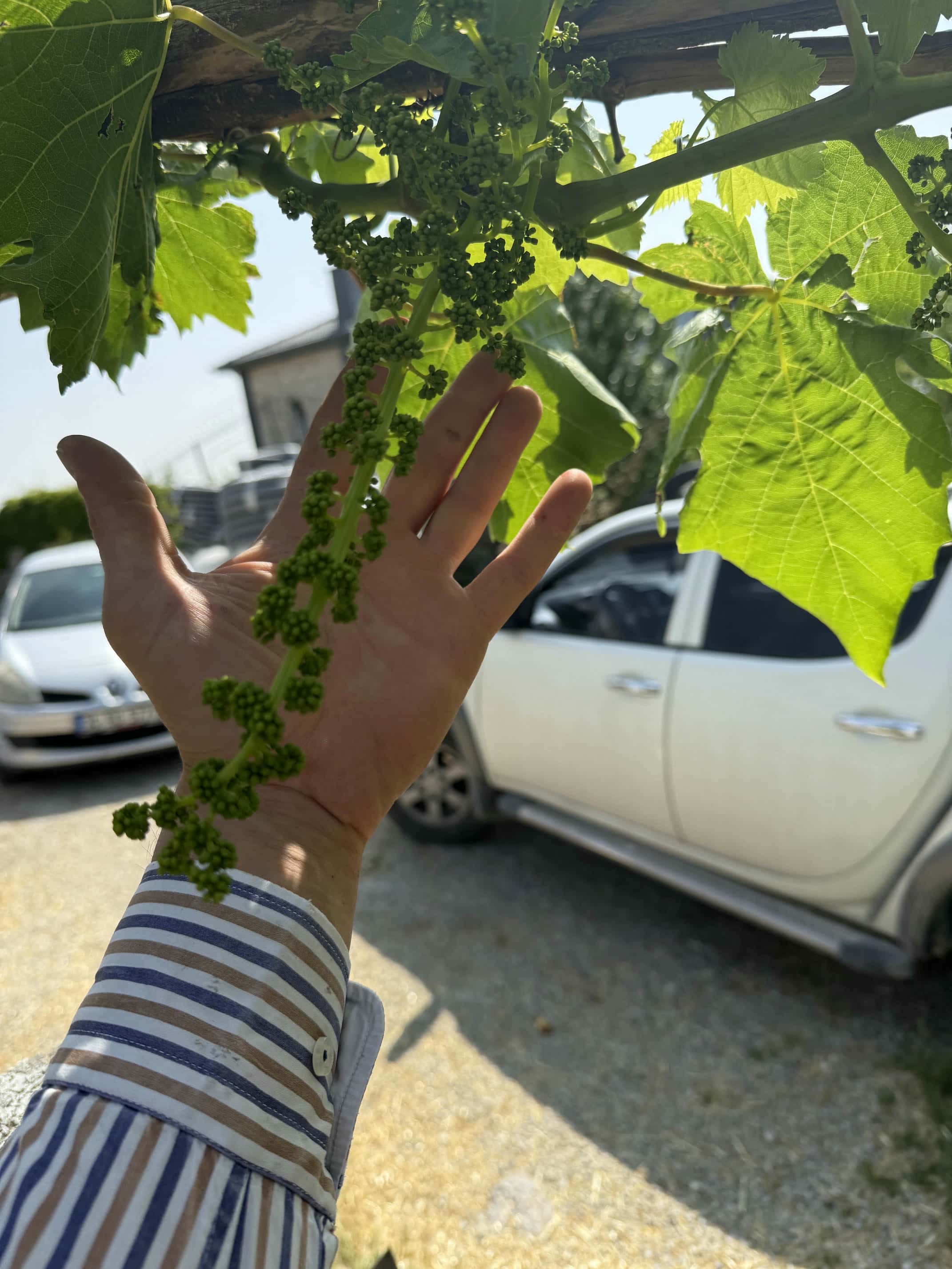 JetMi Tarım ve Hayvancılık